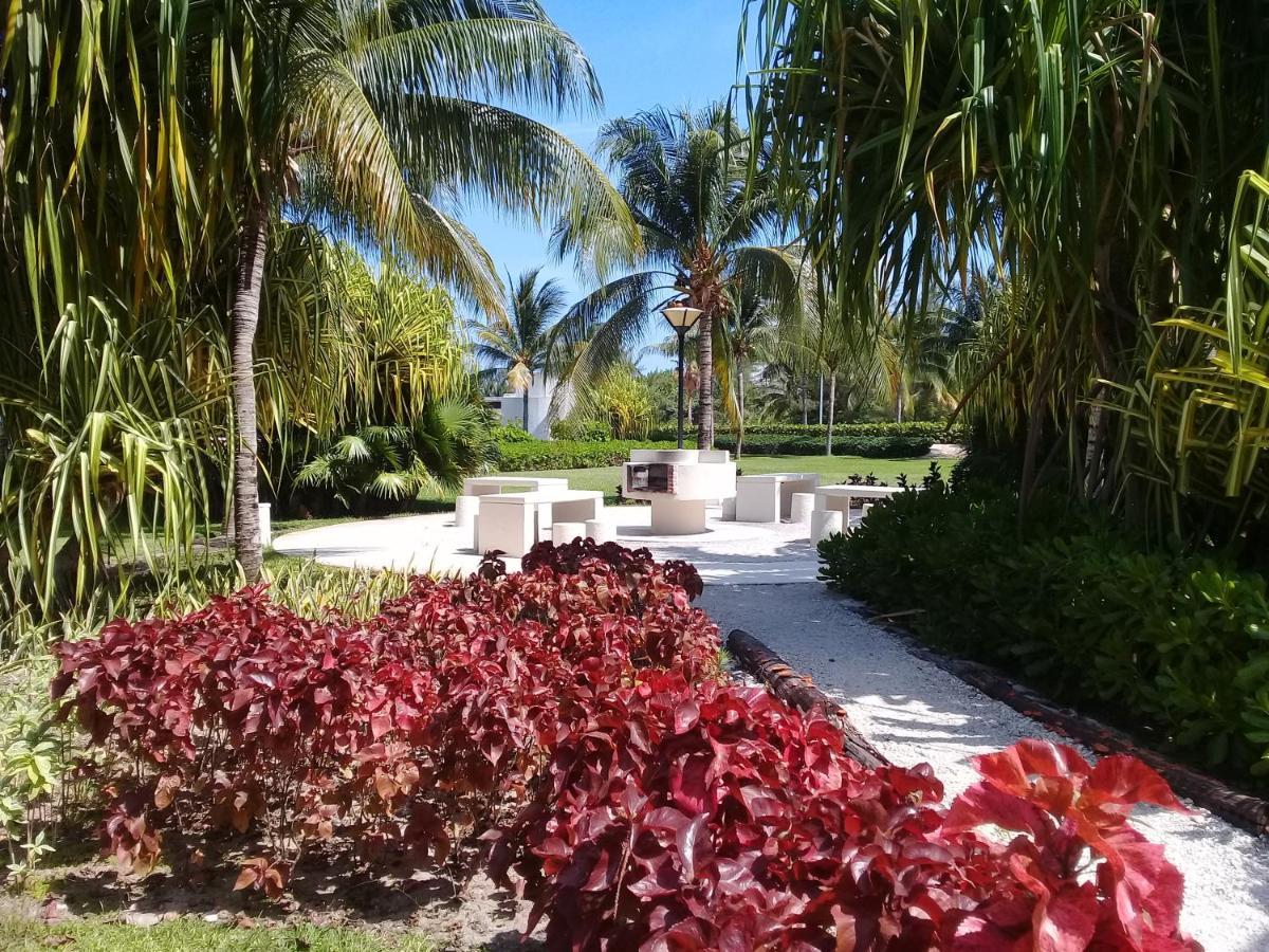 Swim The Caribbean & Work With A View Apartman Cancún Kültér fotó